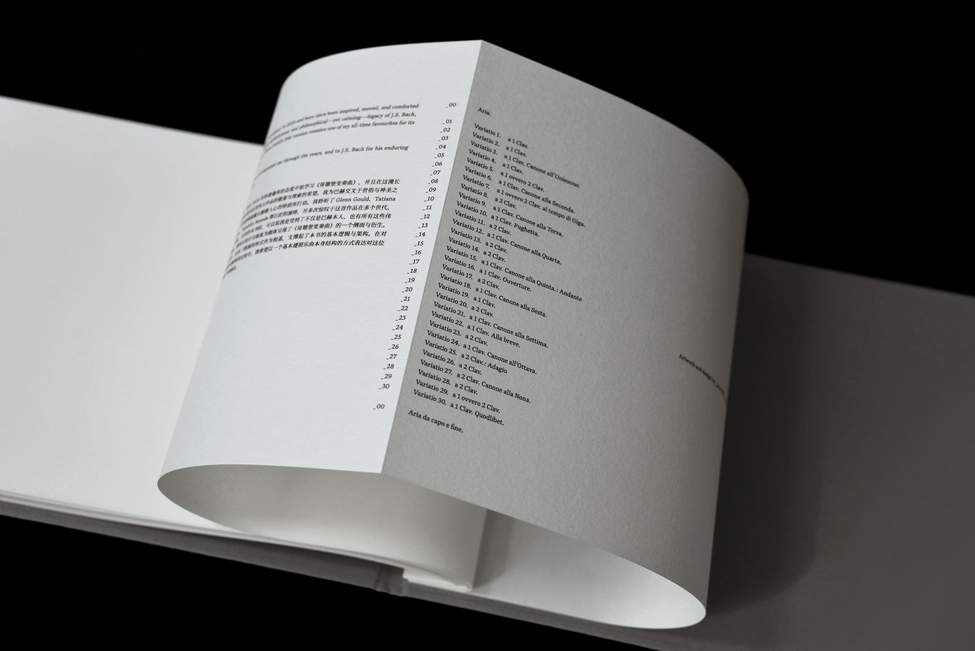 BWV988: kaleidoscope-row-14