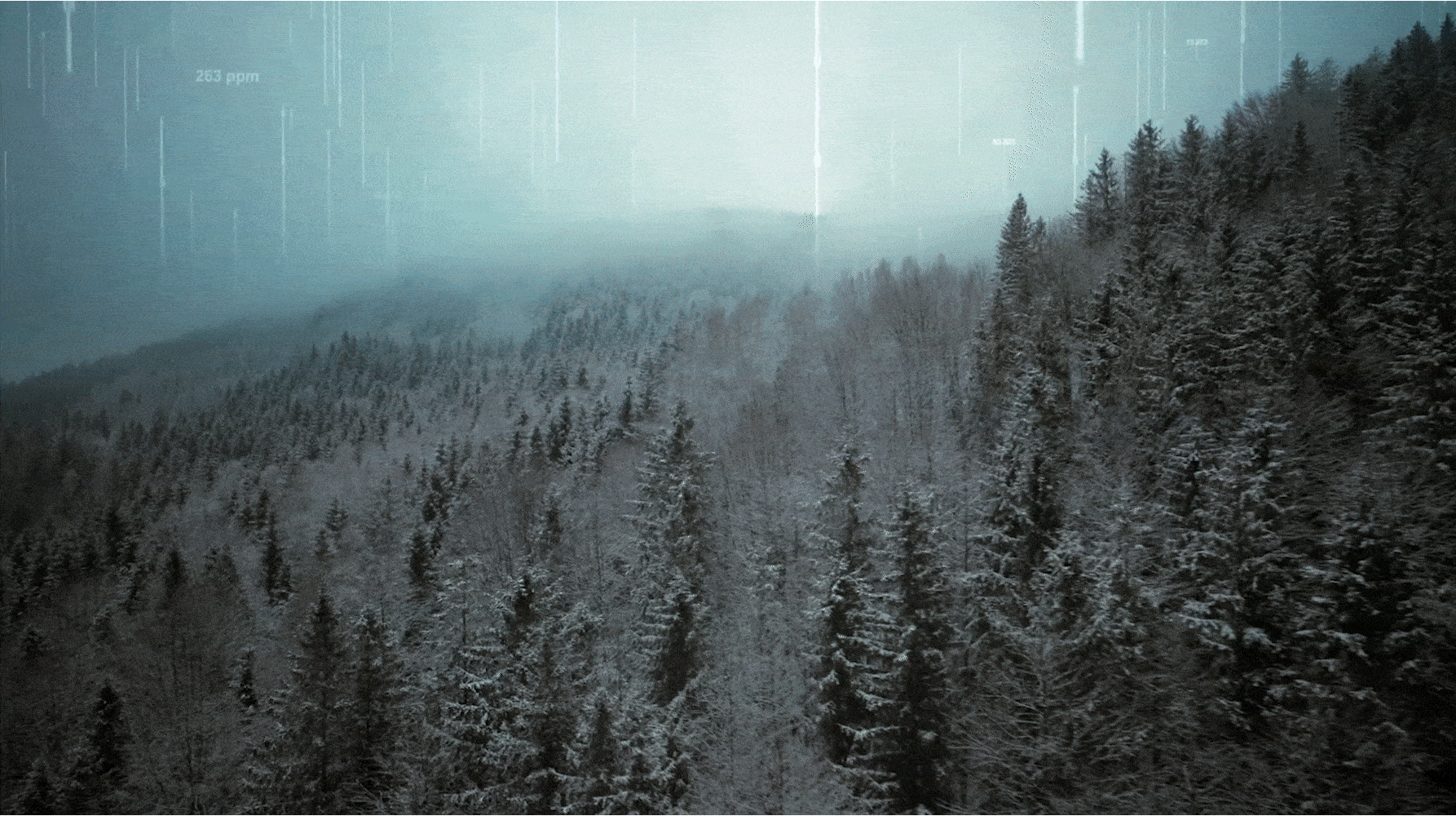 Hyundai: Tree Correspondents-row-2